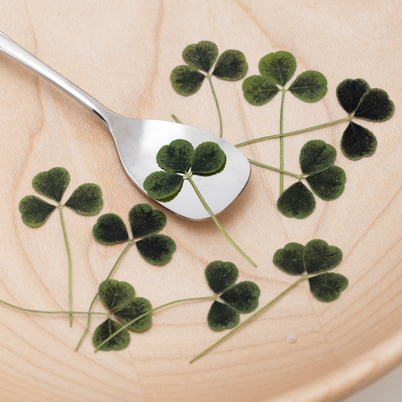 Clover (3 leaves)