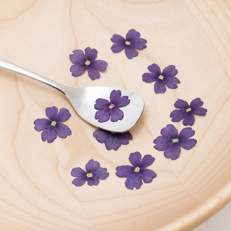 Verbena blue