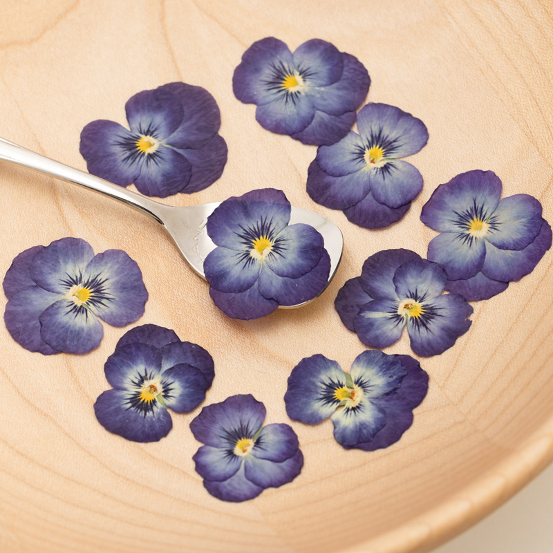 Viola Blue Viola Blue