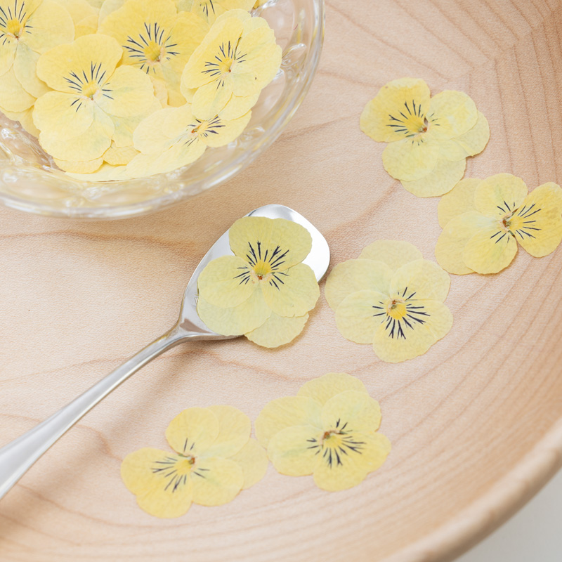 Viola Yellow Viola Yellow