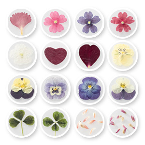 Sale40% off shop now! producing regions